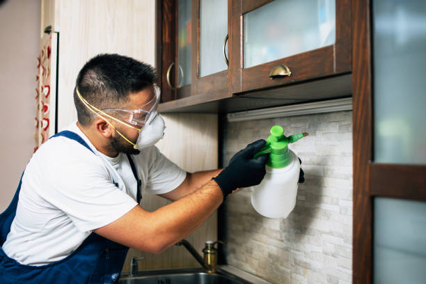Best Residential Pest Control  in White House Station, NJ