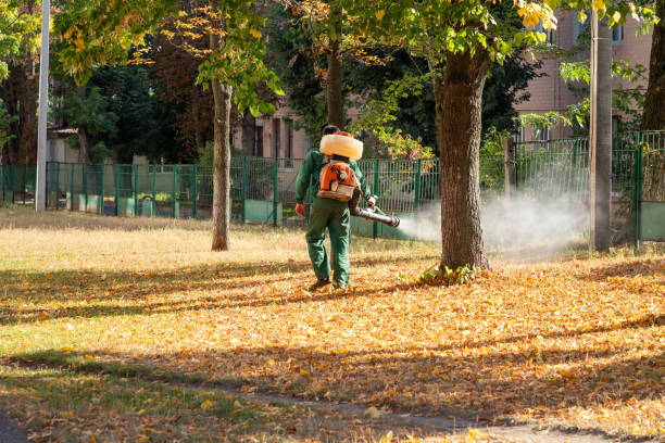 Best Termite Control Services  in White House Station, NJ