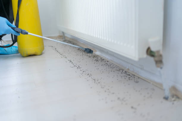 Best Best Pest Control Companies  in White House Station, NJ